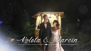 wedding highlights